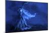 Blue Witch Wind Stars-Patricia Dymer-Mounted Giclee Print