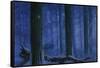 Blue Wolf-Bill Makinson-Framed Stretched Canvas