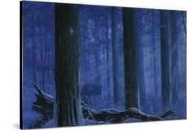 Blue Wolf-Bill Makinson-Stretched Canvas