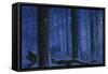 Blue Wolf-Bill Makinson-Framed Stretched Canvas