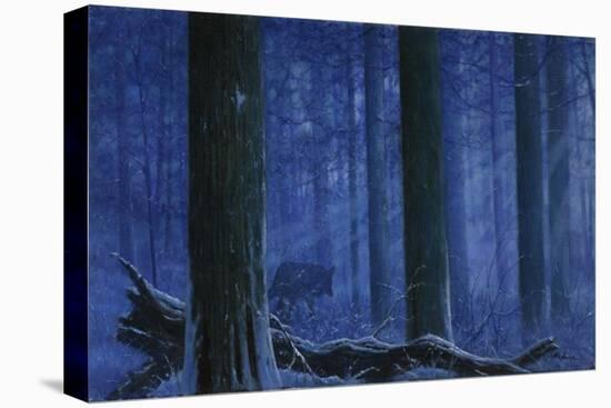 Blue Wolf-Bill Makinson-Stretched Canvas