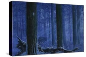 Blue Wolf-Bill Makinson-Stretched Canvas