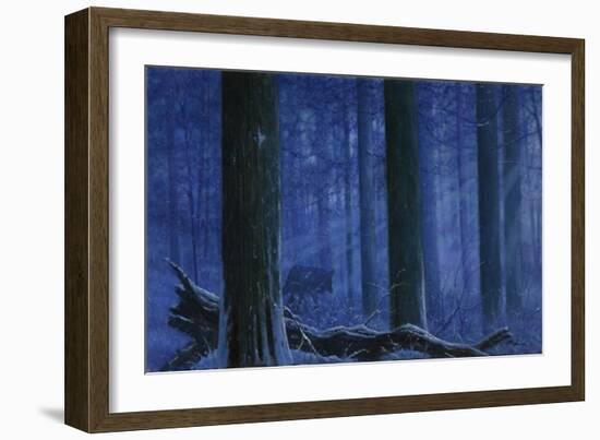 Blue Wolf-Bill Makinson-Framed Giclee Print