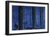 Blue Wolf-Bill Makinson-Framed Giclee Print