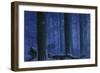Blue Wolf-Bill Makinson-Framed Premium Giclee Print