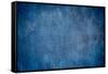 Blue Wood Background and Texture-tortoon-Framed Stretched Canvas