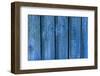 Blue Wood Texture with Natural Patterns-tombaky-Framed Photographic Print