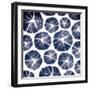 Blue Wood-Jace Grey-Framed Art Print