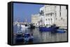 Blue Wooden Boats and Fishing Vessels in the Walled Harbour of Monopoli in Apulia, Italy, Europe-Stuart Forster-Framed Stretched Canvas