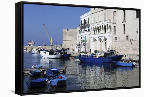 Blue Wooden Boats and Fishing Vessels in the Walled Harbour of Monopoli in Apulia, Italy, Europe-Stuart Forster-Framed Stretched Canvas