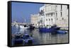 Blue Wooden Boats and Fishing Vessels in the Walled Harbour of Monopoli in Apulia, Italy, Europe-Stuart Forster-Framed Stretched Canvas