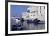 Blue Wooden Boats and Fishing Vessels in the Walled Harbour of Monopoli in Apulia, Italy, Europe-Stuart Forster-Framed Photographic Print