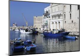 Blue Wooden Boats and Fishing Vessels in the Walled Harbour of Monopoli in Apulia, Italy, Europe-Stuart Forster-Mounted Photographic Print