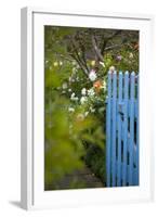 Blue Wooden Door in the Allotment Garden-Brigitte Protzel-Framed Photographic Print