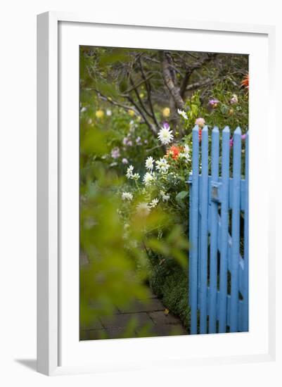 Blue Wooden Door in the Allotment Garden-Brigitte Protzel-Framed Photographic Print