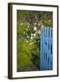 Blue Wooden Door in the Allotment Garden-Brigitte Protzel-Framed Photographic Print