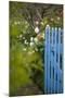 Blue Wooden Door in the Allotment Garden-Brigitte Protzel-Mounted Photographic Print