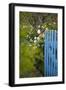 Blue Wooden Door in the Allotment Garden-Brigitte Protzel-Framed Photographic Print