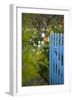Blue Wooden Door in the Allotment Garden-Brigitte Protzel-Framed Photographic Print