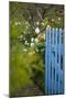 Blue Wooden Door in the Allotment Garden-Brigitte Protzel-Mounted Photographic Print