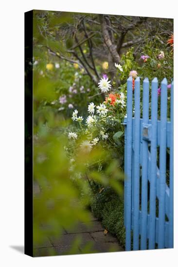 Blue Wooden Door in the Allotment Garden-Brigitte Protzel-Stretched Canvas