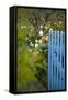 Blue Wooden Door in the Allotment Garden-Brigitte Protzel-Framed Stretched Canvas