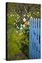 Blue Wooden Door in the Allotment Garden-Brigitte Protzel-Stretched Canvas