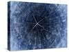 Blue X-Ray Image of a Tree Trunk with Large Rings and Texture. Cross Section of Old Piece of Wood W-captureandcompose-Stretched Canvas