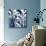 Blue Zebra-Margaret Juul-Mounted Giclee Print displayed on a wall