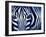 Blue Zebra-Cherie Roe Dirksen-Framed Giclee Print