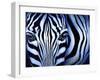 Blue Zebra-Cherie Roe Dirksen-Framed Giclee Print