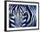 Blue Zebra-Cherie Roe Dirksen-Framed Giclee Print