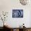 Blue Zebra-Cherie Roe Dirksen-Mounted Giclee Print displayed on a wall