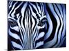 Blue Zebra-Cherie Roe Dirksen-Mounted Giclee Print