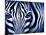 Blue Zebra-Cherie Roe Dirksen-Mounted Giclee Print