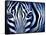 Blue Zebra-Cherie Roe Dirksen-Framed Stretched Canvas