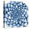 Blue Zinnia-Cathe Hendrick-Stretched Canvas