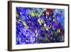 Blue-Tom Kelly-Framed Giclee Print