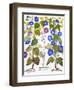 Bluebell And Morning Glory-Besler Basilius-Framed Giclee Print