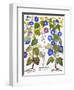 Bluebell And Morning Glory-Besler Basilius-Framed Giclee Print