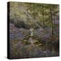 Bluebell Bridge-Bill Makinson-Stretched Canvas