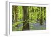 Bluebell Carpet in a Beech Woodland, West Woods, Lockeridge, Wiltshire, England. Spring-Adam Burton-Framed Photographic Print