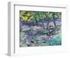 Bluebell Glade-Sylvia Paul-Framed Giclee Print