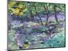 Bluebell Glade-Sylvia Paul-Mounted Giclee Print