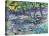 Bluebell Glade-Sylvia Paul-Stretched Canvas