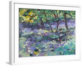 Bluebell Glade-Sylvia Paul-Framed Giclee Print