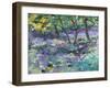 Bluebell Glade-Sylvia Paul-Framed Giclee Print