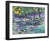 Bluebell Glade-Sylvia Paul-Framed Giclee Print