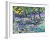 Bluebell Glade-Sylvia Paul-Framed Giclee Print