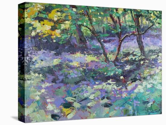 Bluebell Glade-Sylvia Paul-Stretched Canvas